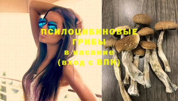 ГАЛЛЮЦИНОГЕННЫЕ ГРИБЫ Алексеевка