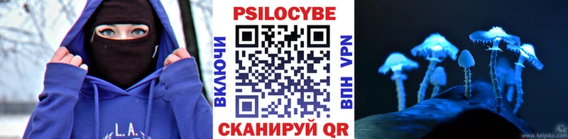 даркнет сайт  Королёв  Галлюциногенные грибы прущие грибы 