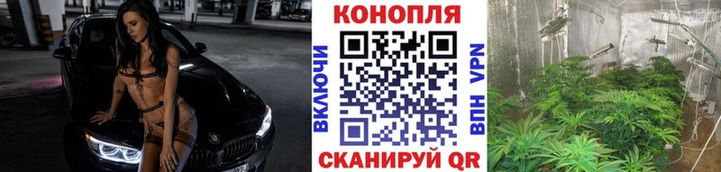 хочу наркоту  MEGA ссылка  Бошки марихуана сатива  Королёв 